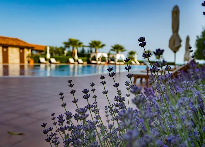 아파트호텔 Burgas Beach Resort Apartments 4*